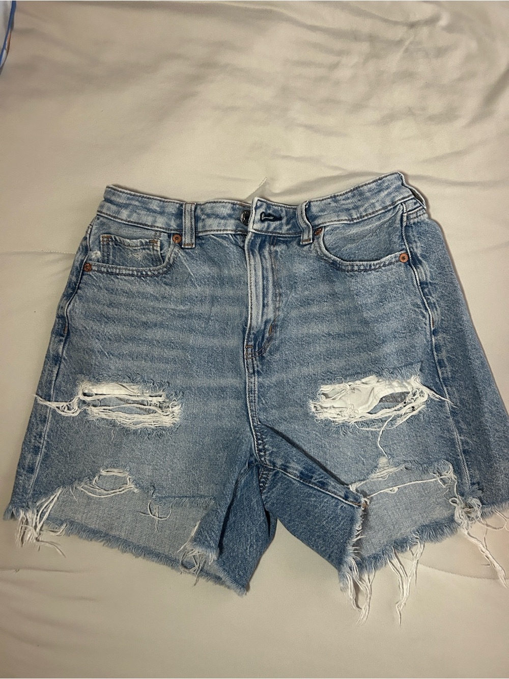 American Eagle Denim Shorts - Baggy Mom Shorts